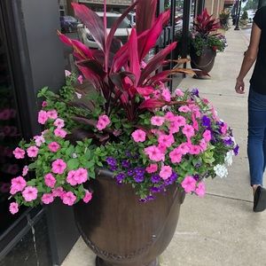 Meet your Posher, Amber